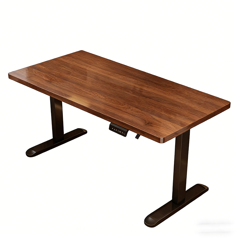 Modern Iron Dual Motor Electri - Desk Setup Designer ulasan dan harga
